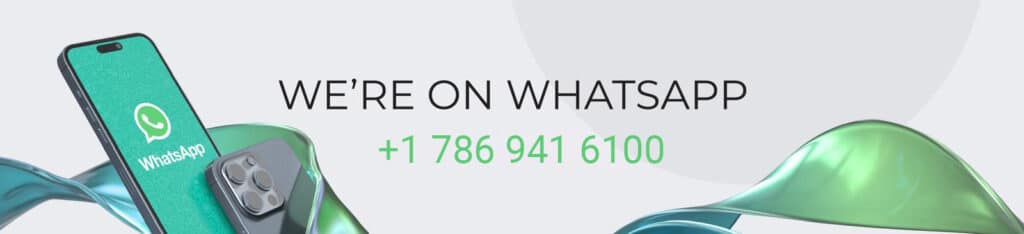 +17869416100 whatsapp phone number